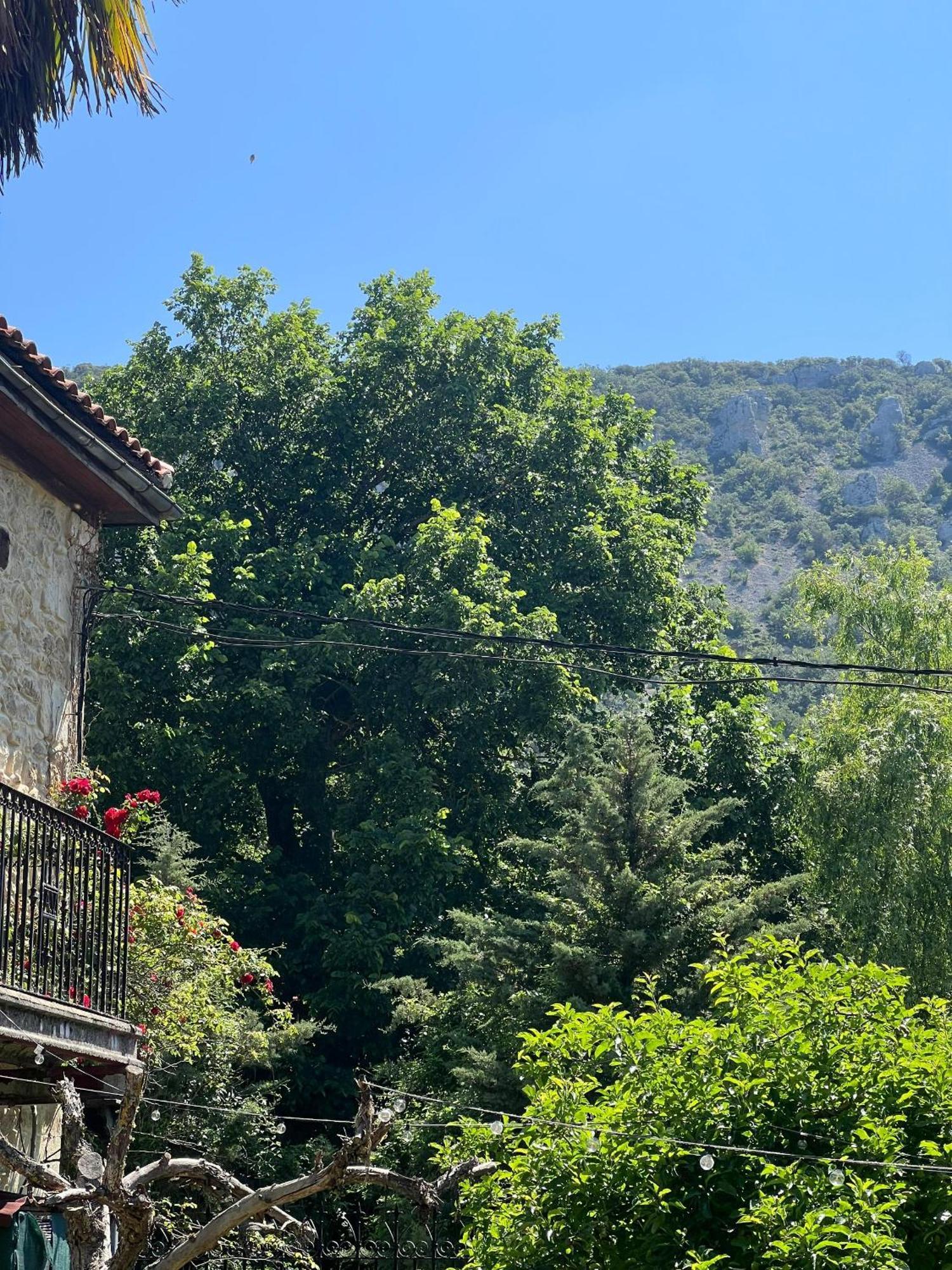 Palacio De Los Alvarado En Las Merindades El Ribero ภายนอก รูปภาพ