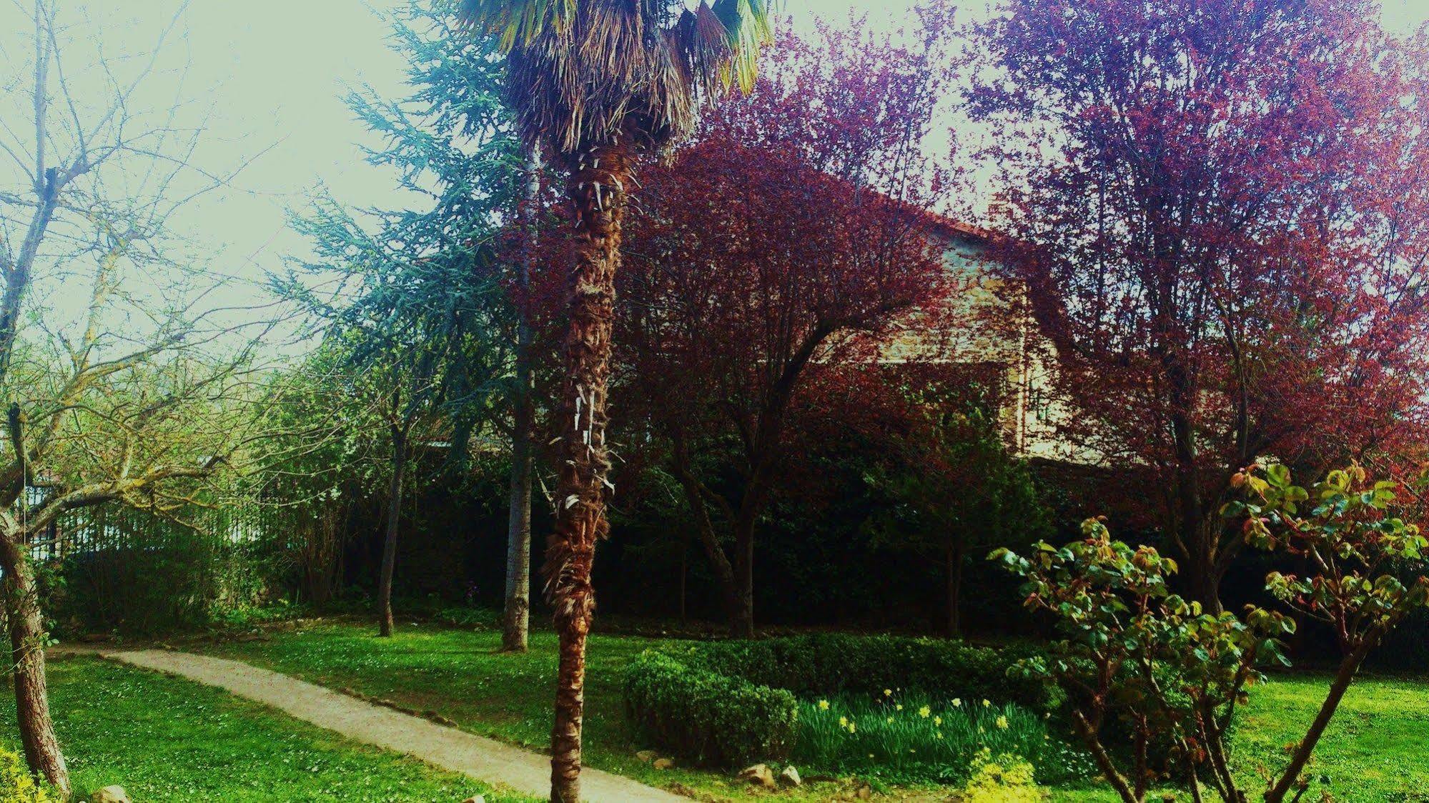 Palacio De Los Alvarado En Las Merindades El Ribero ภายนอก รูปภาพ